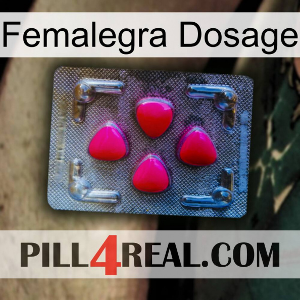 Femalegra Dosage 13.jpg